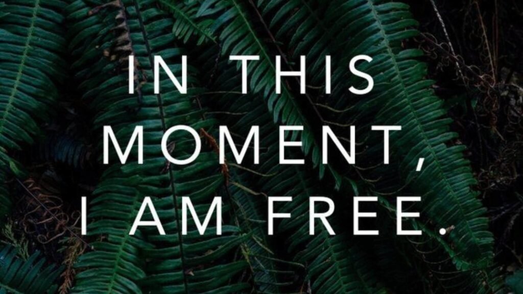 In this moment i'am free